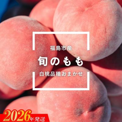 ふるさと納税 福島市 福島市産 旬のもも 約1kg(3〜6玉)[2026年発送 先行受付]No.2997