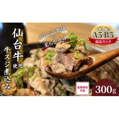 ふるさと納税 岩沼市 仙台牛 牛スジ煮込み 300g 