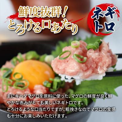 ふるさと納税 田野町 【四国一小さなまち】訳あり鯛の漬け丼 80g&マグロのネギトロ 70g×各10P |  | 02