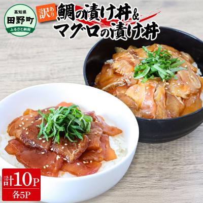 ふるさと納税 田野町 [四国一小さなまち]これが魚屋の漬け丼だ!鯛の漬け丼&amp;マグロの漬け丼 80g×各5P★訳あり★
