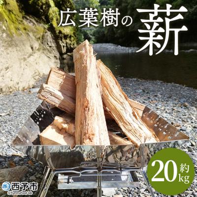 ふるさと納税 西予市 <広葉樹の薪 約20kg> 冬 キャンプ 焚火 薪ストーブ 自然乾燥 木 木材 椚