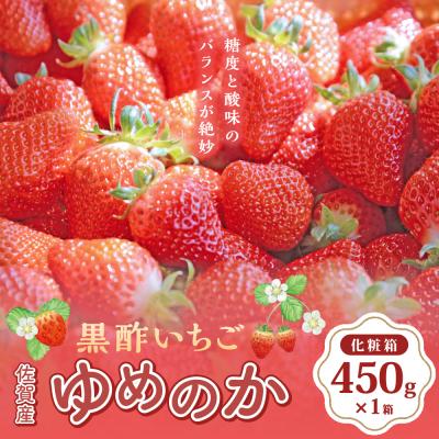ふるさと納税 太良町 黒酢いちご(ゆめのか) 化粧箱450g×1箱
