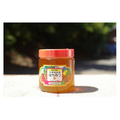 ふるさと納税 太良町 太良町産はちみつ(百花蜜) 600g