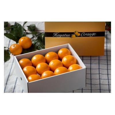 ふるさと納税 太良町 おひさまおれんじギフト おひさまおれんじ約3.5kg