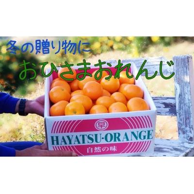 ふるさと納税 太良町 おひさまおれんじ7kg おひさまおれんじ7kg
