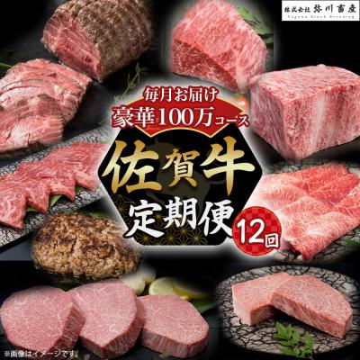 ふるさと納税 太良町 佐賀牛 毎月 豪華12回便 100万コース 定期便ZAF1