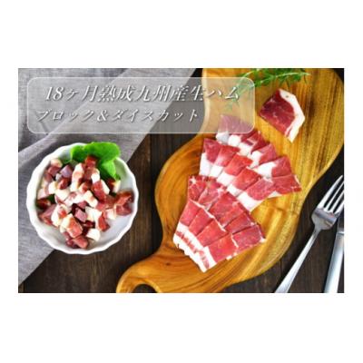 ふるさと納税 太良町 18ヶ月熟成九州産生ハムブロック&amp;ダイスカット 18ヶ月熟成生ハム 600g OC9 N30G