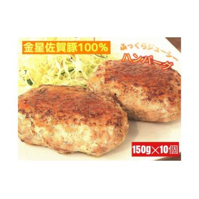 ふるさと納税 太良町 金星佐賀豚 ハンバーグ150g×10個セット