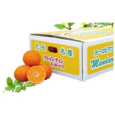 ふるさと納税 太良町 クレメンティン 5kg