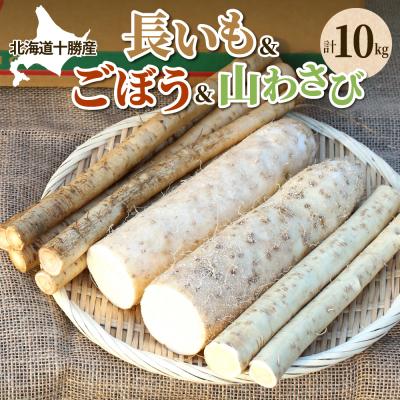 ふるさと納税 芽室町 北海道十勝芽室町 ファーム・ミリオンの贅沢根菜セット(長芋・ごぼう・山わさび) [土付き]