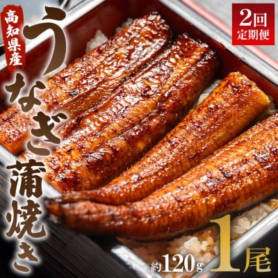ふるさと納税 香南市 [2回定期便]うなぎ蒲焼き120g 1尾(無頭) Wun-0019