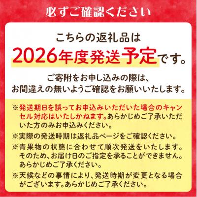 ふるさと納税 大江町 ≪先行受付≫ 山形豊作フルーツ人気A【定期便全3回】 060-T02_1