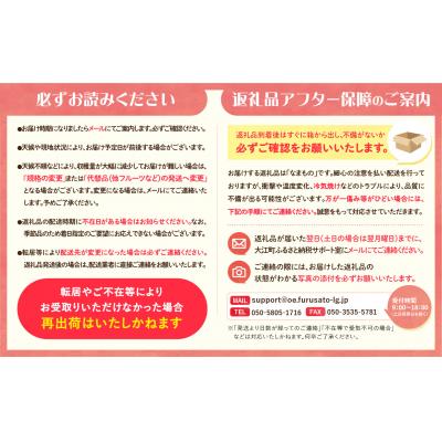 ふるさと納税 大江町 ≪先行受付≫ 山形豊作フルーツ人気A【定期便全3回】 060-T02_3
