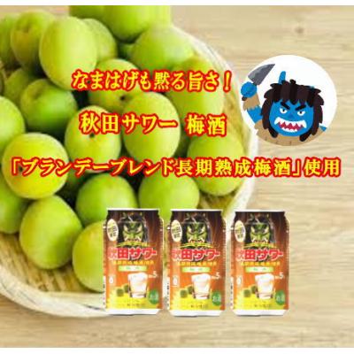 ふるさと納税 湯沢市 ご当地サワー!秋田サワー「梅酒」12本入り[B5210]