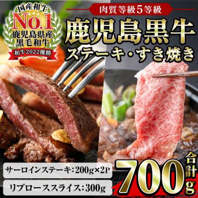 ふるさと納税 いちき串木野市 鹿児島黒牛 食べ比べ 700g サーロイン200g×2P リブロース ススライス 300g