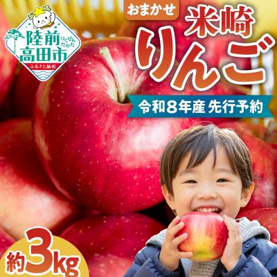 ふるさと納税 陸前高田市 先行受付 米崎りんご3kg 品種おまかせ 数量限定 [ 旬 りんご リンゴ フルーツ 家庭用 ]