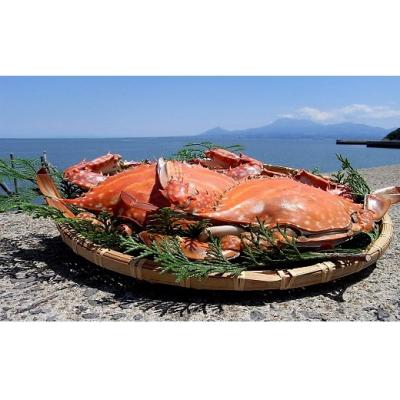 ふるさと納税 太良町 鮮魚仲買い!坂口商店の竹崎カニ! 約0.8〜1.2kg(2〜3匹) Q4