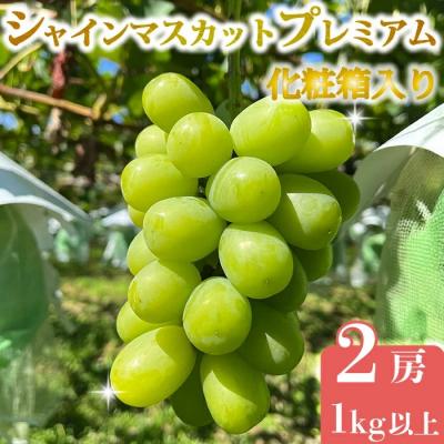 ふるさと納税 東御市 [先行受付2026年発送]シャインマスカット プレミアム 2房、1kg以上|Jardin Omino