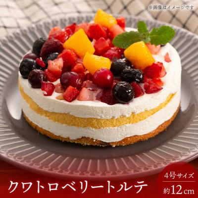 ふるさと納税 糸島市 フルーツ/チョコムース/レアチーズ ホールケーキ 3種 冷凍[AQD017] |  | 01