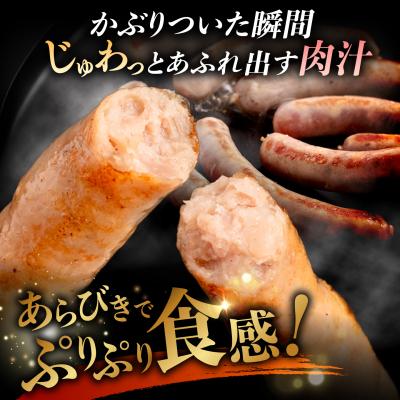 ふるさと納税 糸島市 生ウインナー30本+生ハムセット 糸島/糸島手造りハム [AAC004] ソーセージ |  | 01
