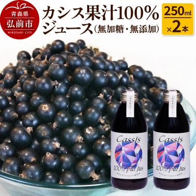 ふるさと納税 弘前市 カシス果汁100%ジュース(無加糖・無添加)250ml×2本|24_ack-010201