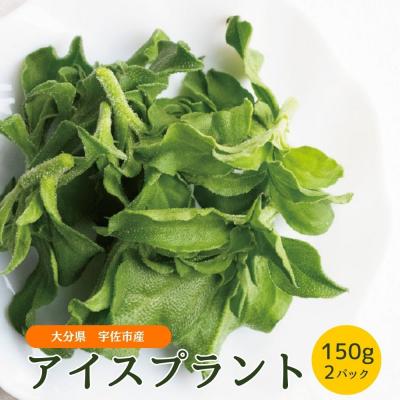 ふるさと納税 宇佐市 アイスプラント(150g×2パック)[114800101][公益社団法人 あじむ農業公社]