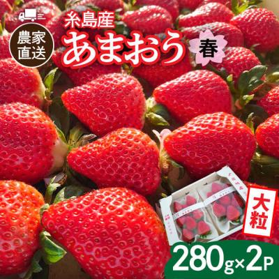 ふるさと納税 糸島市 [農家直送 先行受付]糸島産 春あまおう280g × 2(DXまたはGサイズ) 
