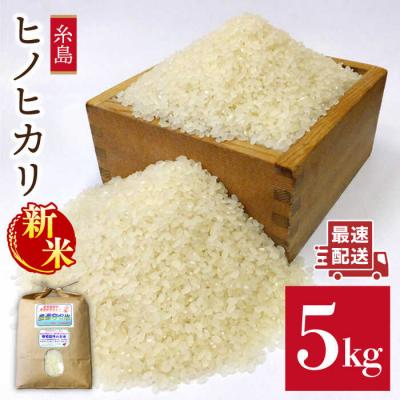 ふるさと納税 糸島市 農薬使わない栽培 ! 糸島産ヒノヒカリ 5kg、 玄米食・分搗き対応!
