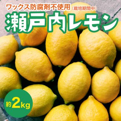 ふるさと納税 三原市 [先行受付]瀬戸内レモン約2kg[017-046]