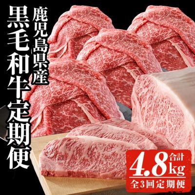 ふるさと納税 曽於市 [3回定期便]&lt;黒毛和牛を毎月お届け!&gt;鹿児島県産黒毛和牛定期便 (合計4.8kg)
