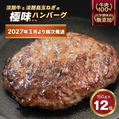 ふるさと納税 淡路市 淡路島 極味ハンバーグ 150g×12個【2027年1月より順次発送】　ao05879 | 