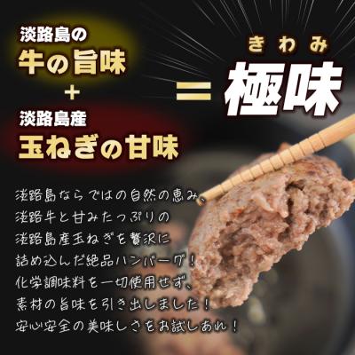 ふるさと納税 淡路市 淡路島 極味ハンバーグ 150g×12個【2027年1月より順次発送】　ao05879 |  | 01