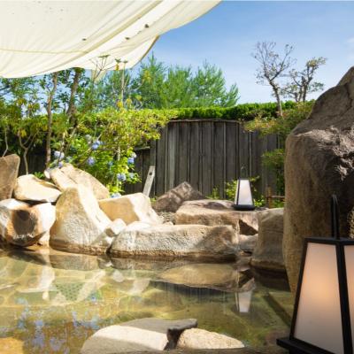 ふるさと納税 安芸高田市 天然ラドン温泉『岩戸屋』入湯ご招待券11枚[No5895-0188]