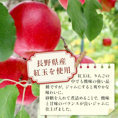 ふるさと納税 東白川村 国産紅玉使用!りんごジャム 3個 180g×3個 果物 フルーツ ジャム りんご 紅玉 ふるさと企画 |  | 02