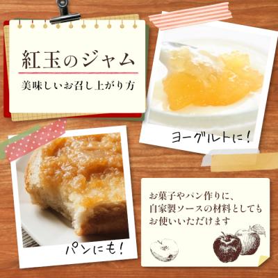 ふるさと納税 東白川村 国産紅玉使用!りんごジャム 3個 180g×3個 果物 フルーツ ジャム りんご 紅玉 ふるさと企画 |  | 03