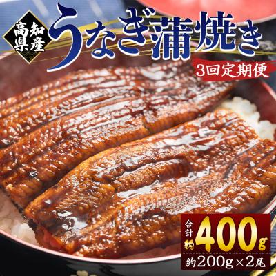 ふるさと納税 香南市 [3回定期便]うなぎ蒲焼き 約200g×2尾 国産養殖 高知県産鰻 蒲焼 Wfb-0050