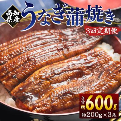 ふるさと納税 香南市 [3回定期便]うなぎ蒲焼き 約200g×3尾 高知県産養殖 Wfb-0054