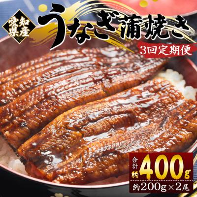 ふるさと納税 香南市 定期便 うなぎ 愛知県 3回 約200g×2尾 国産うなぎの蒲焼 鰻蒲焼 Wfb-0074