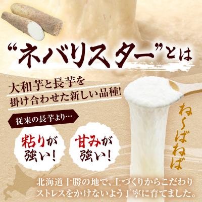 ふるさと納税 芽室町 【先行受付12月中旬頃発送】北海道十勝芽室町 ながいも ネバリスター 5kg me001-047c |  | 01