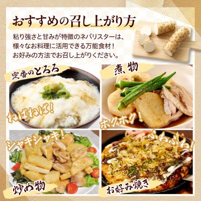 ふるさと納税 芽室町 【先行受付12月中旬頃発送】北海道十勝芽室町 ながいも ネバリスター 5kg me001-047c |  | 02