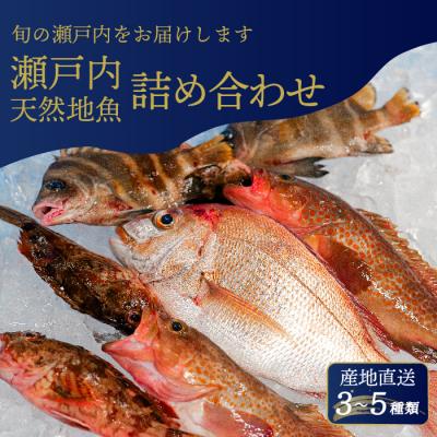 ふるさと納税 三原市 瀬戸内産 鮮魚 地魚詰め合わせ 瀬戸内天然鯛入り!(3〜5種類・下処理済)[154-003]