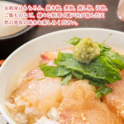 ふるさと納税 三原市 瀬戸内産 鮮魚 地魚詰め合わせ 瀬戸内天然鯛入り!(3〜5種類・下処理済)[154-003] |  | 01