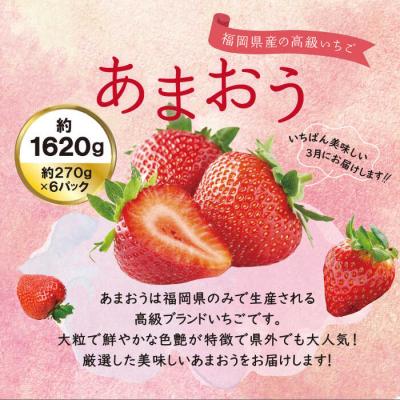 ふるさと納税 糸島市 あまおう いちご1,620g (約270g×6パック) [AZL002] |  | 01