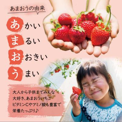 ふるさと納税 糸島市 あまおう いちご1,620g (約270g×6パック) [AZL002] |  | 02