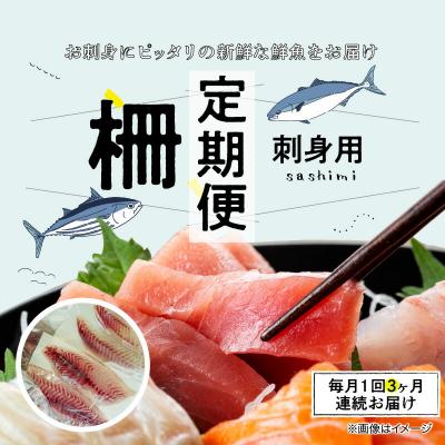 ふるさと納税 天草市 指定日必須[全3回 連続]お刺身用柵定期便_S121-T03