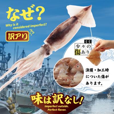 ふるさと納税 興部町 【わけあり】イカミミ3kg |  | 01