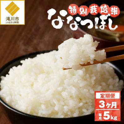 ふるさと納税 滝川市 [令和7年産]特別栽培米ななつぼし 5kg×3ヵ月定期便 特A 減農薬 白米 北海道滝川市