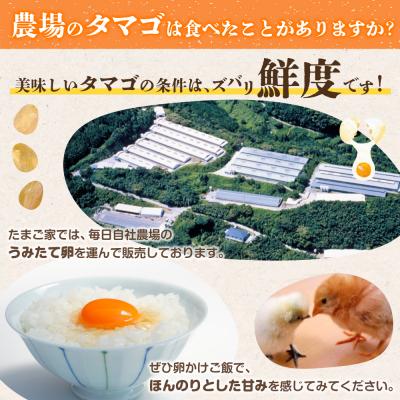 ふるさと納税 太良町 たまご家のハーブ卵(笑顔)30個 12ヵ月定期便 T26_1
