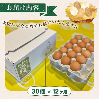 ふるさと納税 太良町 たまご家のハーブ卵(笑顔)30個 12ヵ月定期便 T26_3