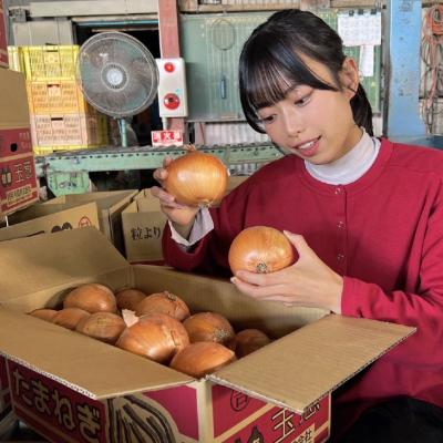 ふるさと納税 南あわじ市 【別所冷蔵】南あわじ産完熟たまねぎ 20kgの画像